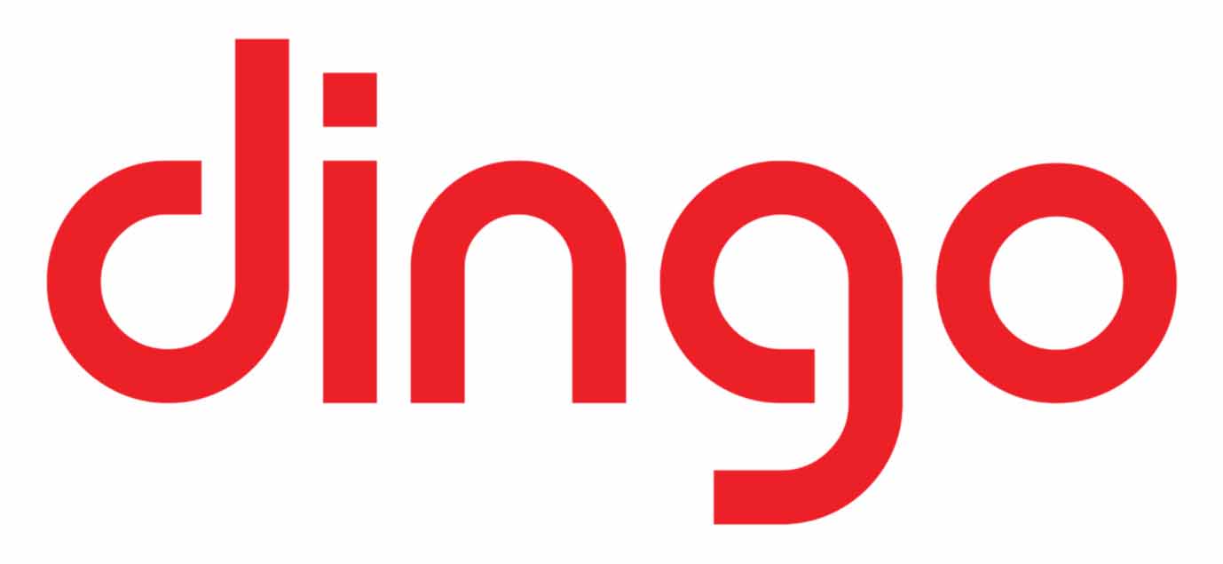 Dingo